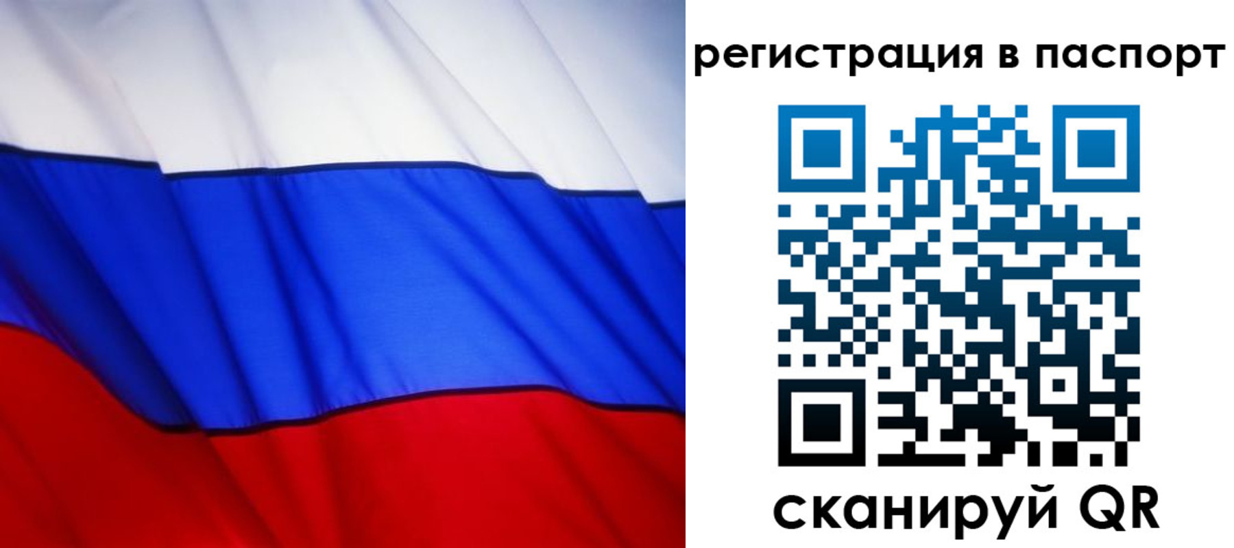 прописка 2025 в Гусь-Хрустальном